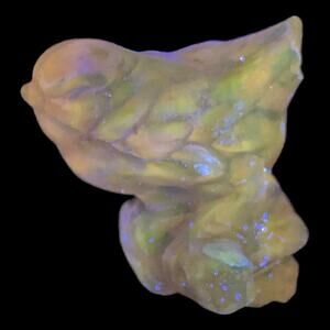 Bird on Branch Fenton Mark‎ Factory Error Pink Irridescent UV Reactive 4GX92